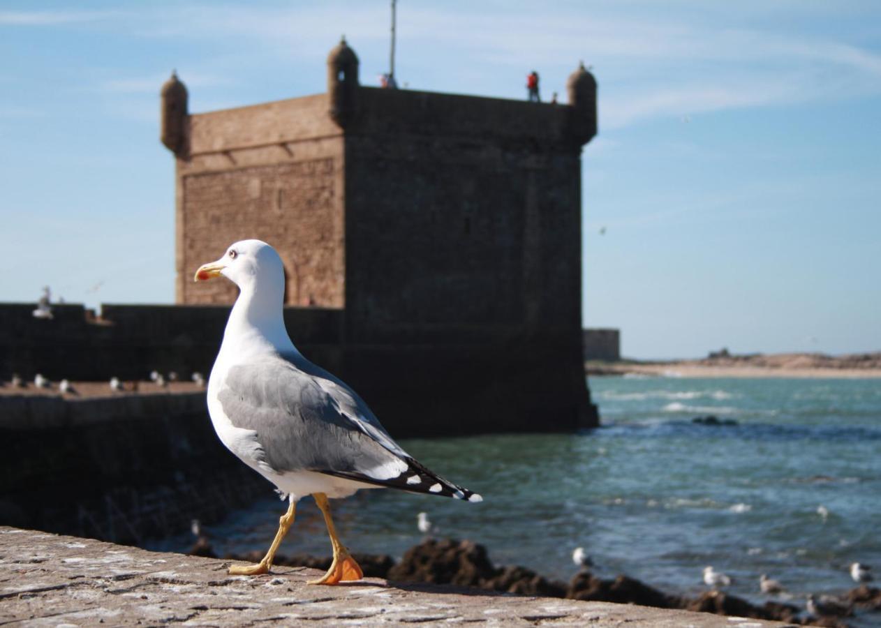 Dar Tranquille Hotell Essaouira Exteriör bild